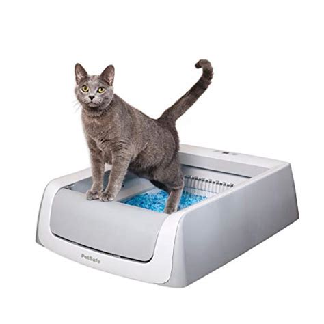 do electric cat litter boxes work|best automatic litter box for cats.